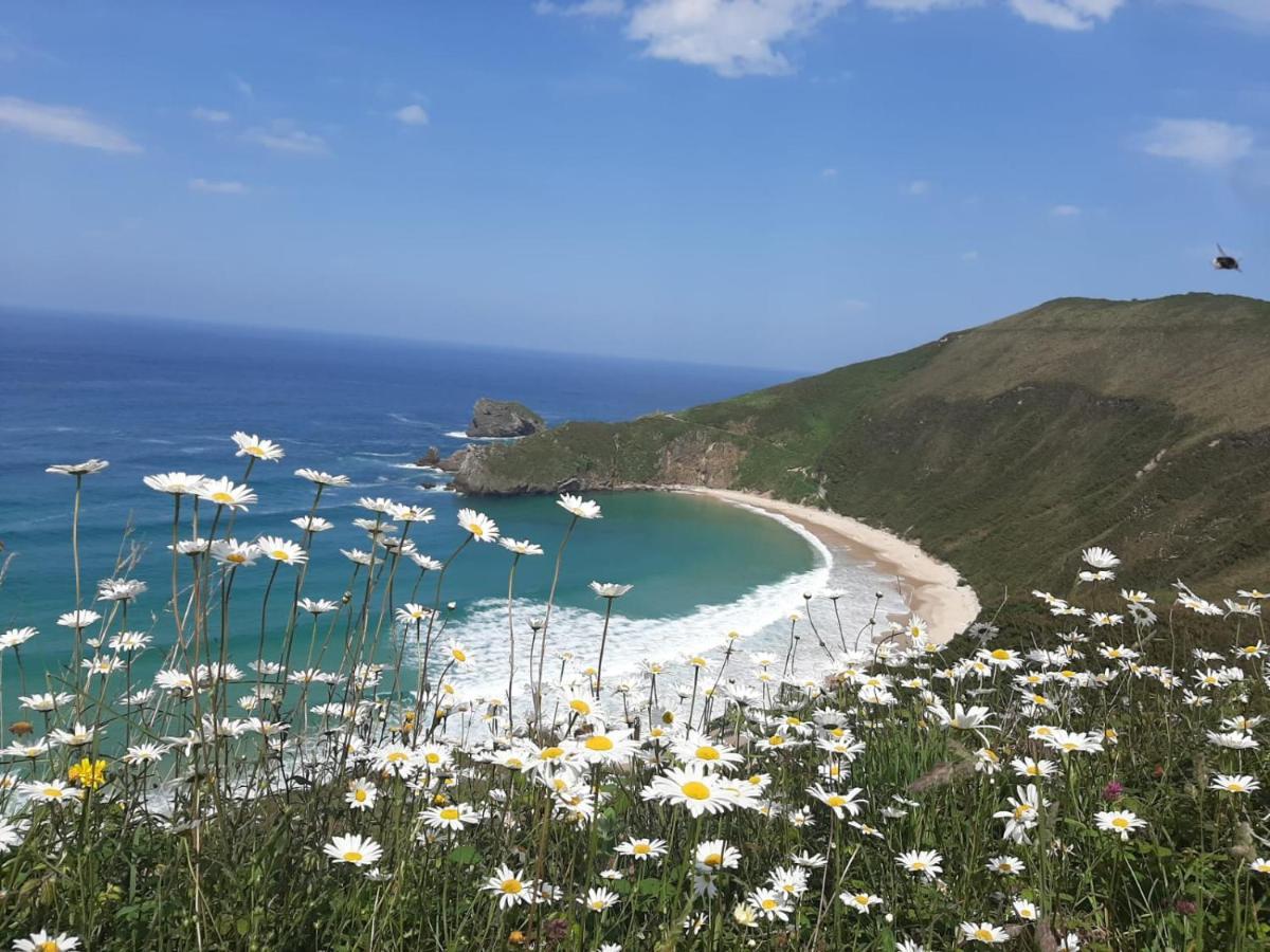 El Canton De Poo, Agradable Casa Adosada A 800M De La Playa Vv-2256-As Llanes Eksteriør bilde